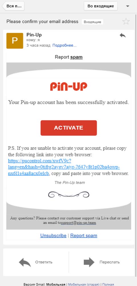 Verification Letter by the Pin Up,